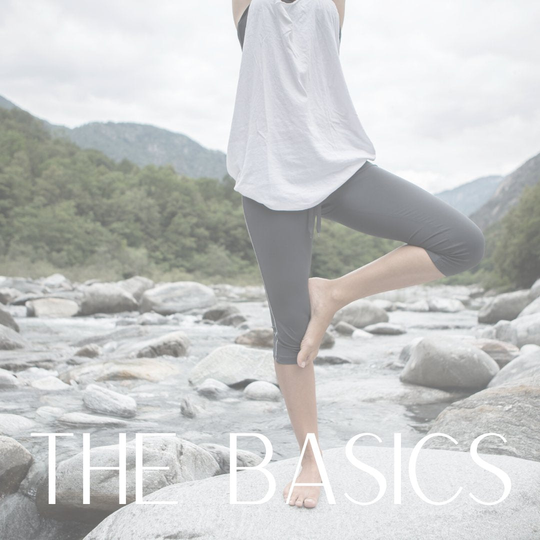 The Basics – Willow