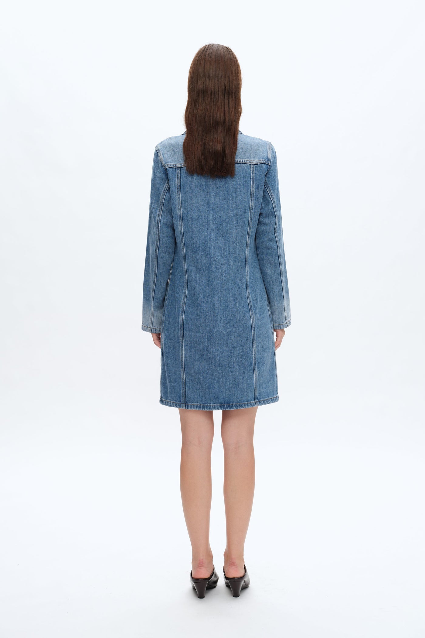 ZYLA DENIM DRESS