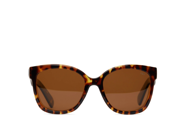 CLEA WAYFARER SUNGLASSES - smoke or brown